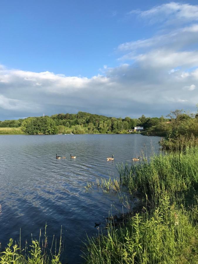 Vulkan-nest In Der Eifel Ulmen